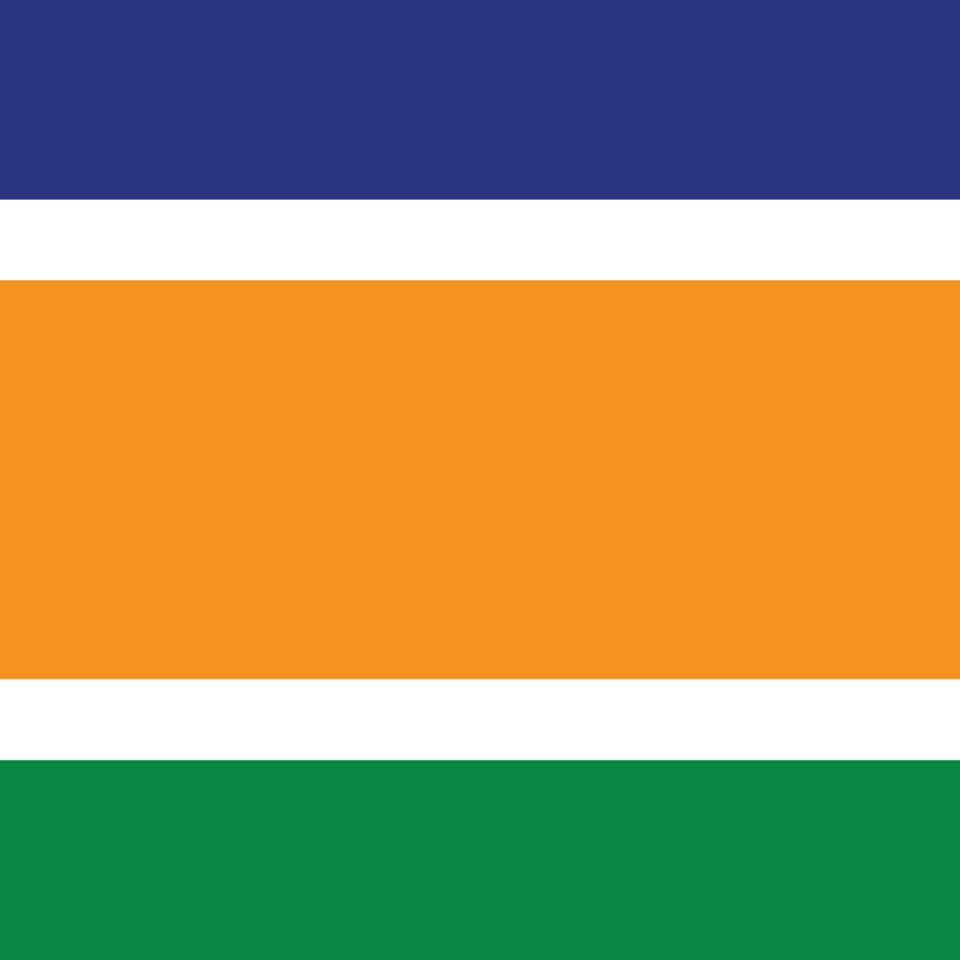 MNS FLAG