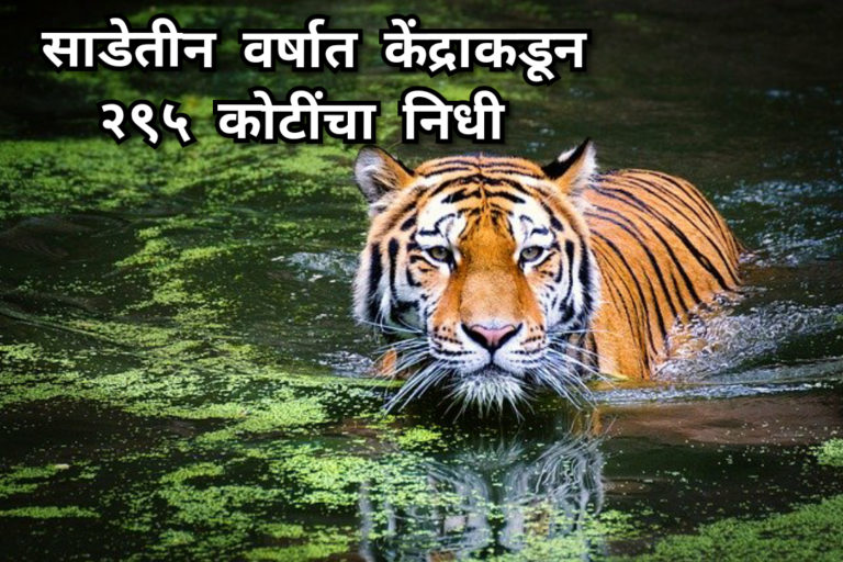 WhatsApp Image 2019-12-02 at 22.18.35