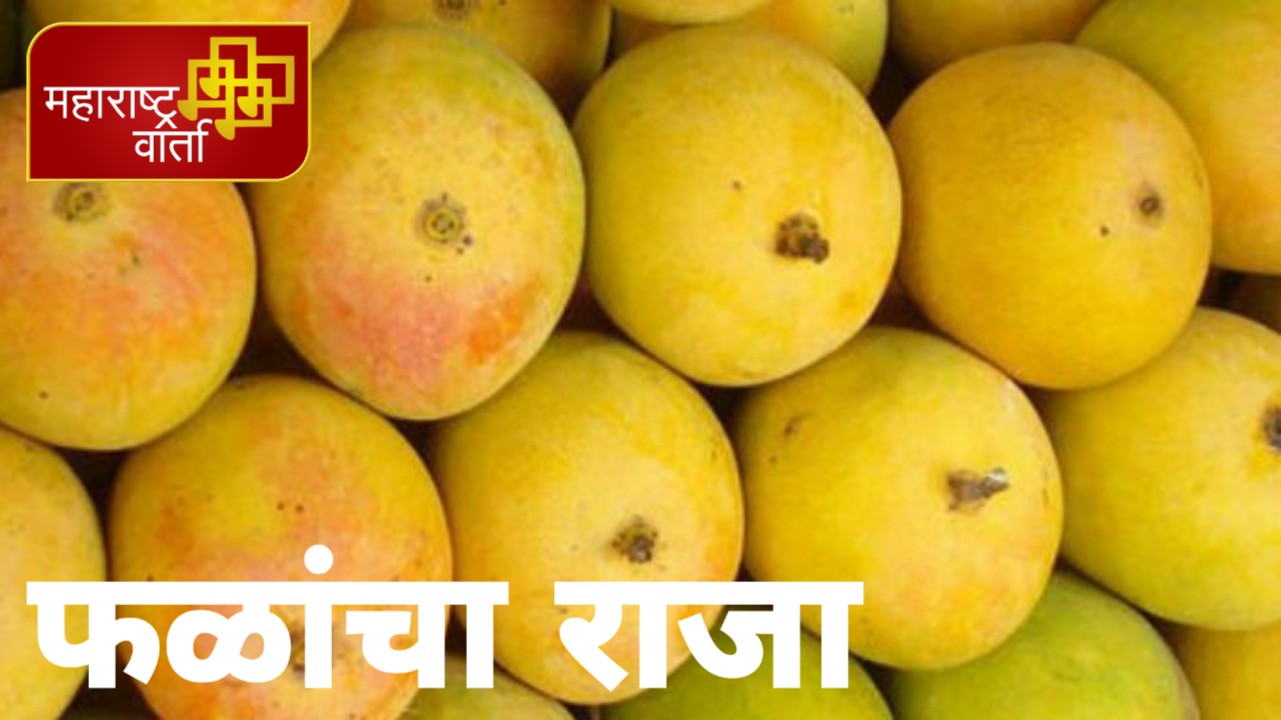 PicsArt_05-28-08.17.37