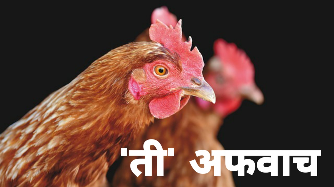 PicsArt_06-05-08.14.27