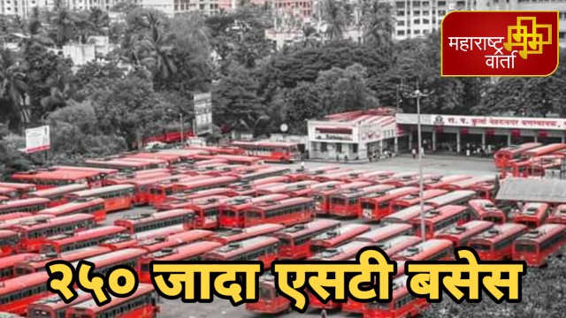 WhatsApp Image 2020-06-08 at 15.58.47