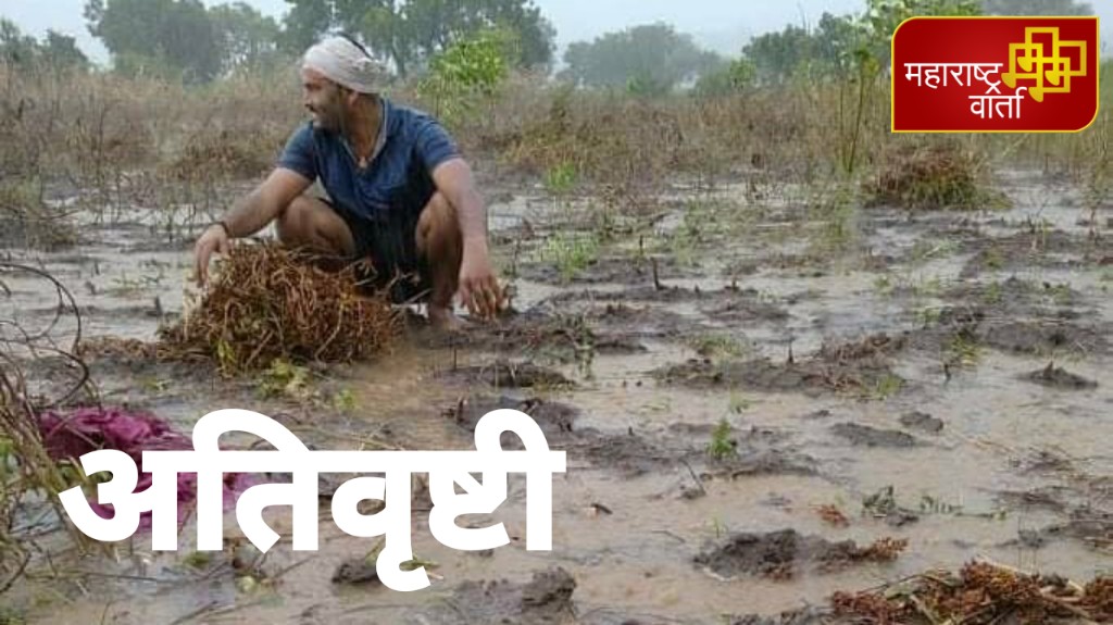 WhatsApp Image 2020-10-16 at 22.40.39