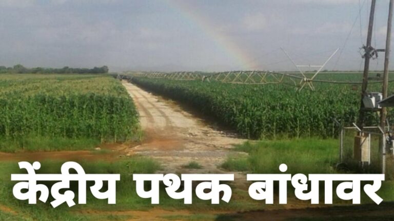 WhatsApp Image 2020-12-21 at 18.53.38