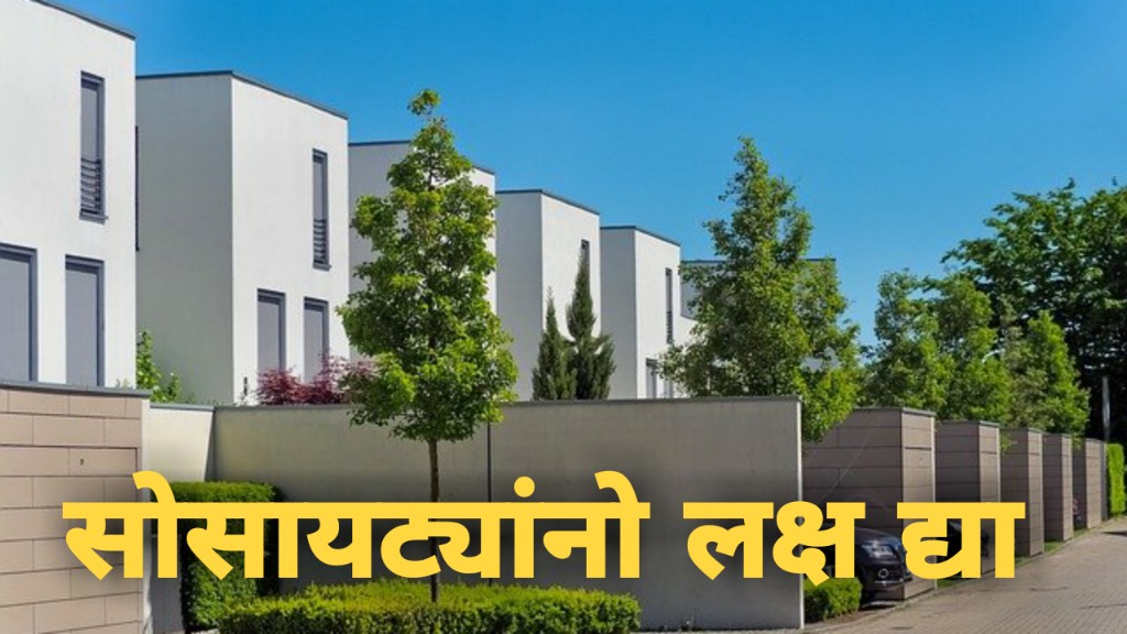 WhatsApp Image 2020-12-30 at 19.07.15