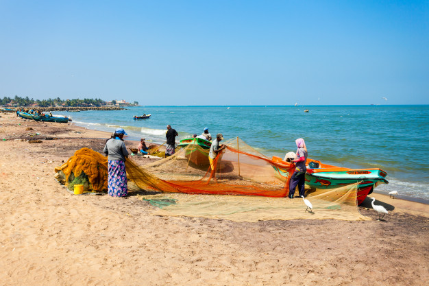 fishing-boats-negombo_78361-4532