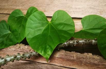 FB_IMG_1625649071800