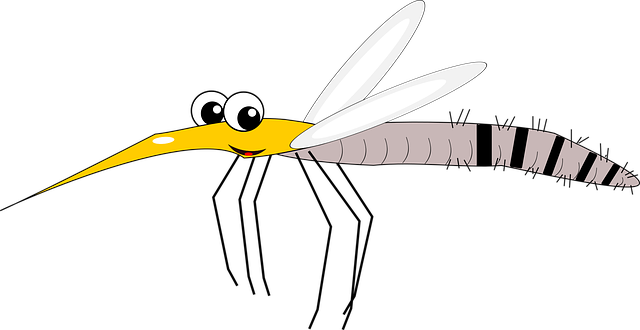 mosquito-2323904_640