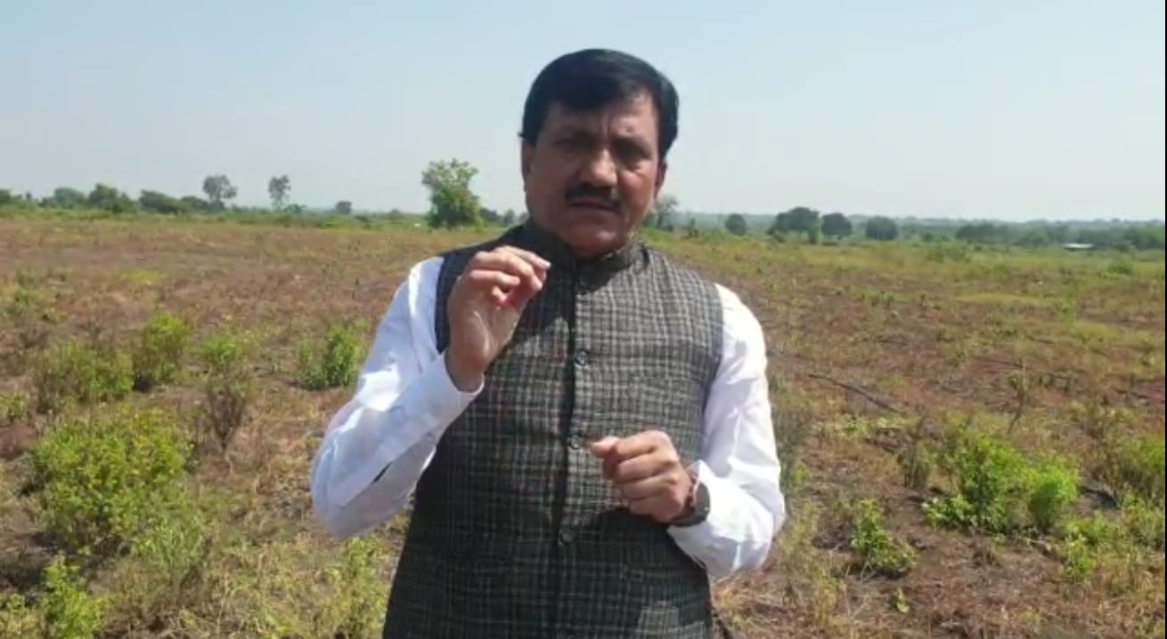 WhatsApp Image 2021-10-21 at 18.08.44