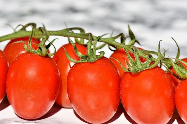 tomatoes-g085894a96_640