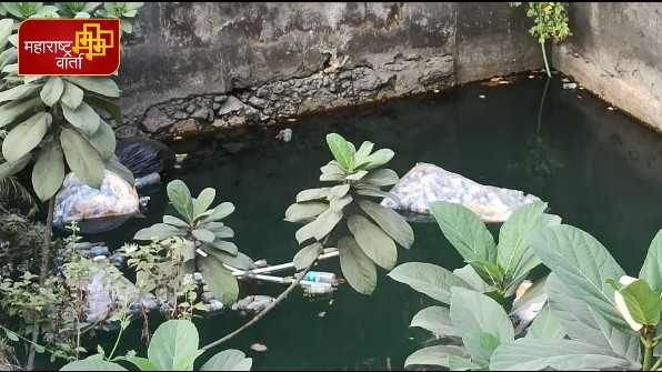 WhatsApp Image 2022-01-07 at 15.46.02