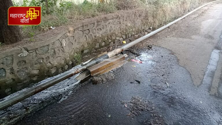 WhatsApp Image 2022-01-17 at 11.44.47