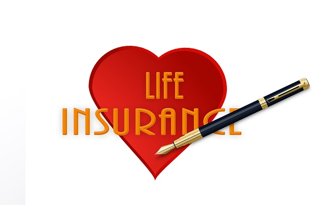 insurance-g8c37e4ccf_640