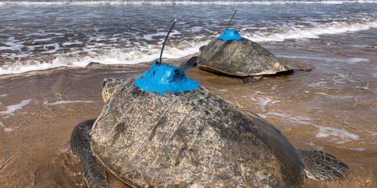 WhatsApp-Image-2022-02-16-at-6.12.30-PM-750x375