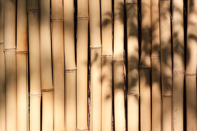 bamboo-g19b5f1293_640