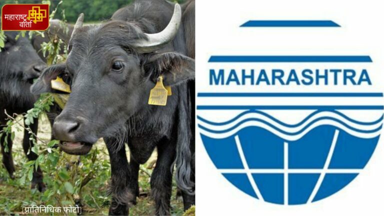 WhatsApp Image 2022-05-05 at 7.32.55 PM