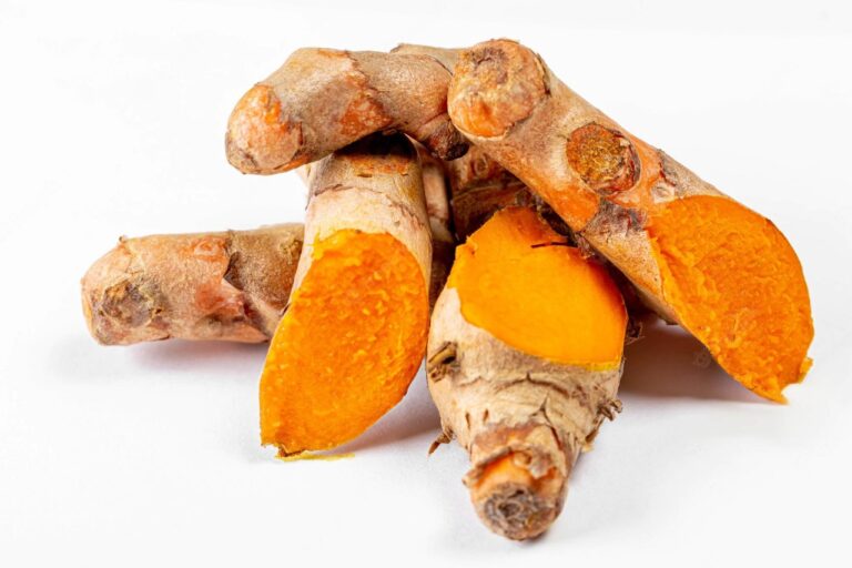 WhatsApp Image 2022-06-03 at 6.02.08 PM