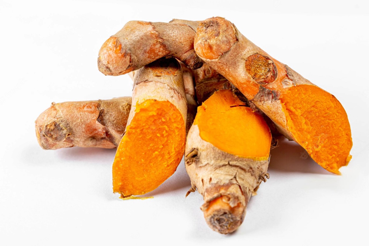 WhatsApp Image 2022-06-03 at 6.02.08 PM