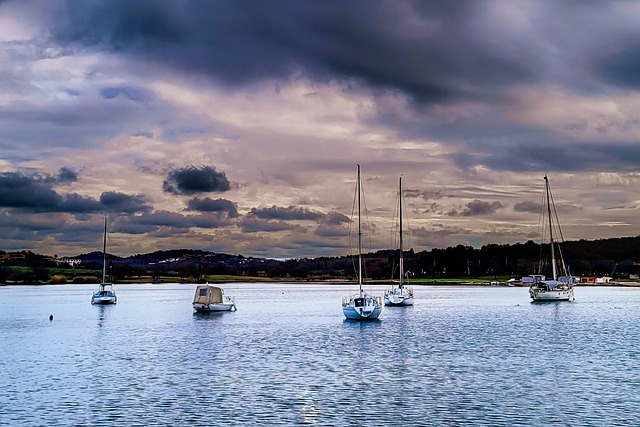 39820154-8E90-4118-BF20-CE9777D43664