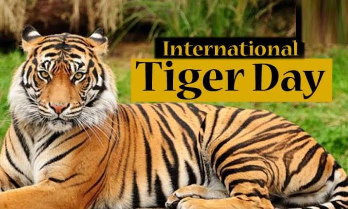 Tiger Day