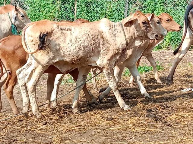 images - 2022-09-10T181415.213