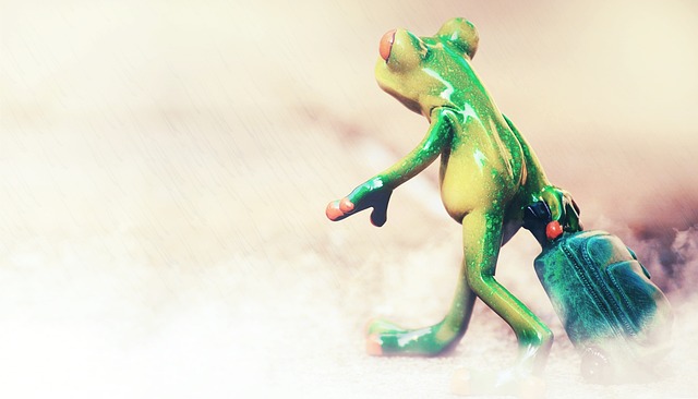 travel-geed2bc85b_640