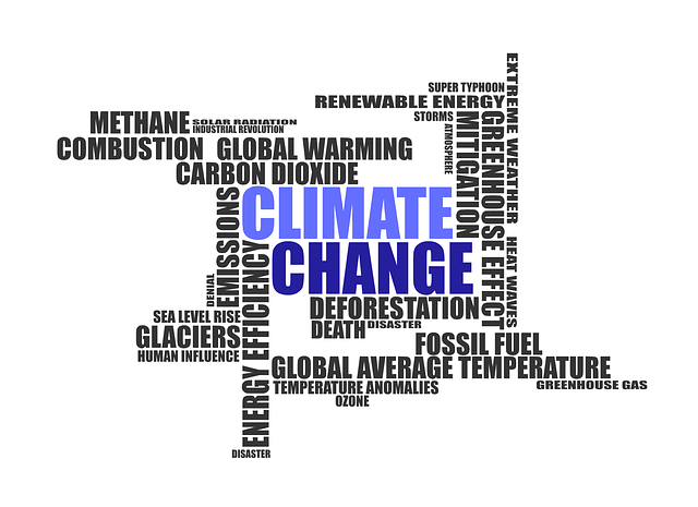 climate-change-g5a111be9b_640
