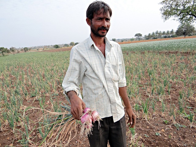 Onion farmer
