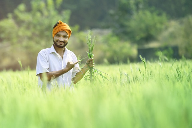 Indian Farmer