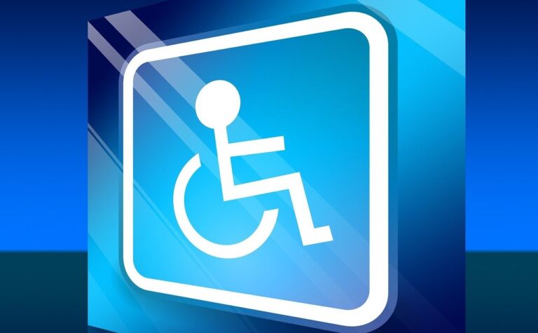 Handicaped WheelChair