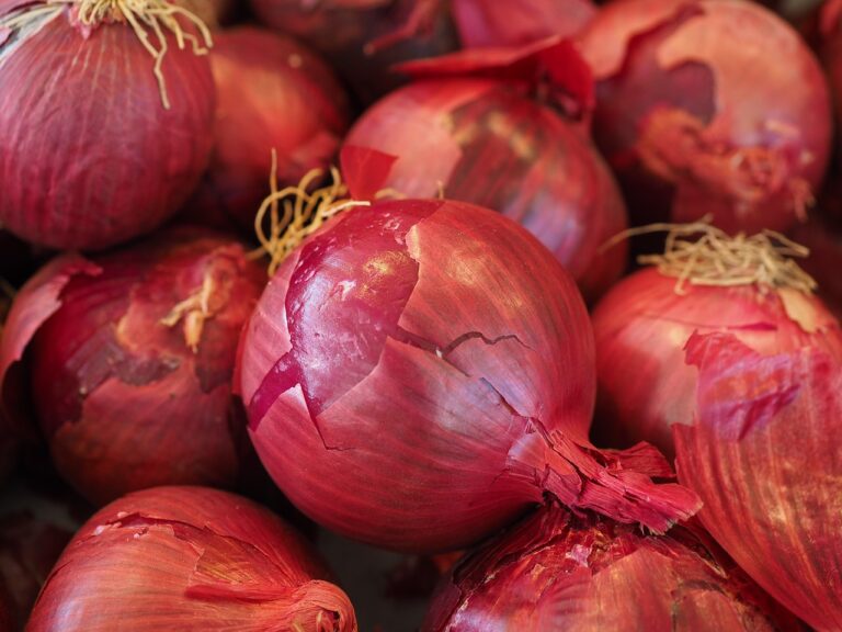 Onion 3