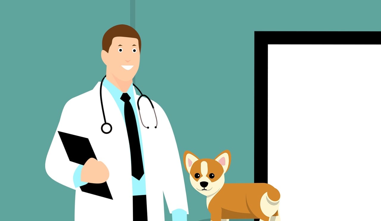 Veterinary Doctor
