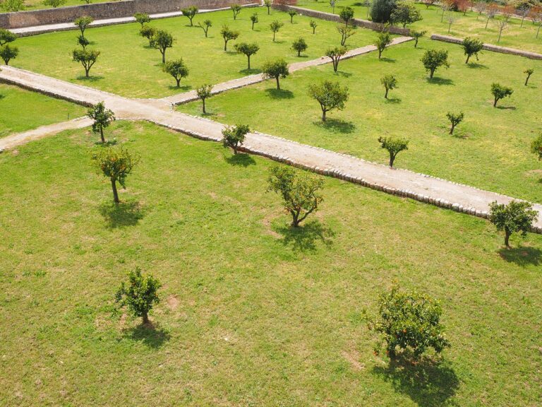 raixa-estate-1117535_1280