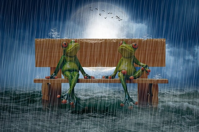Rain Frogs