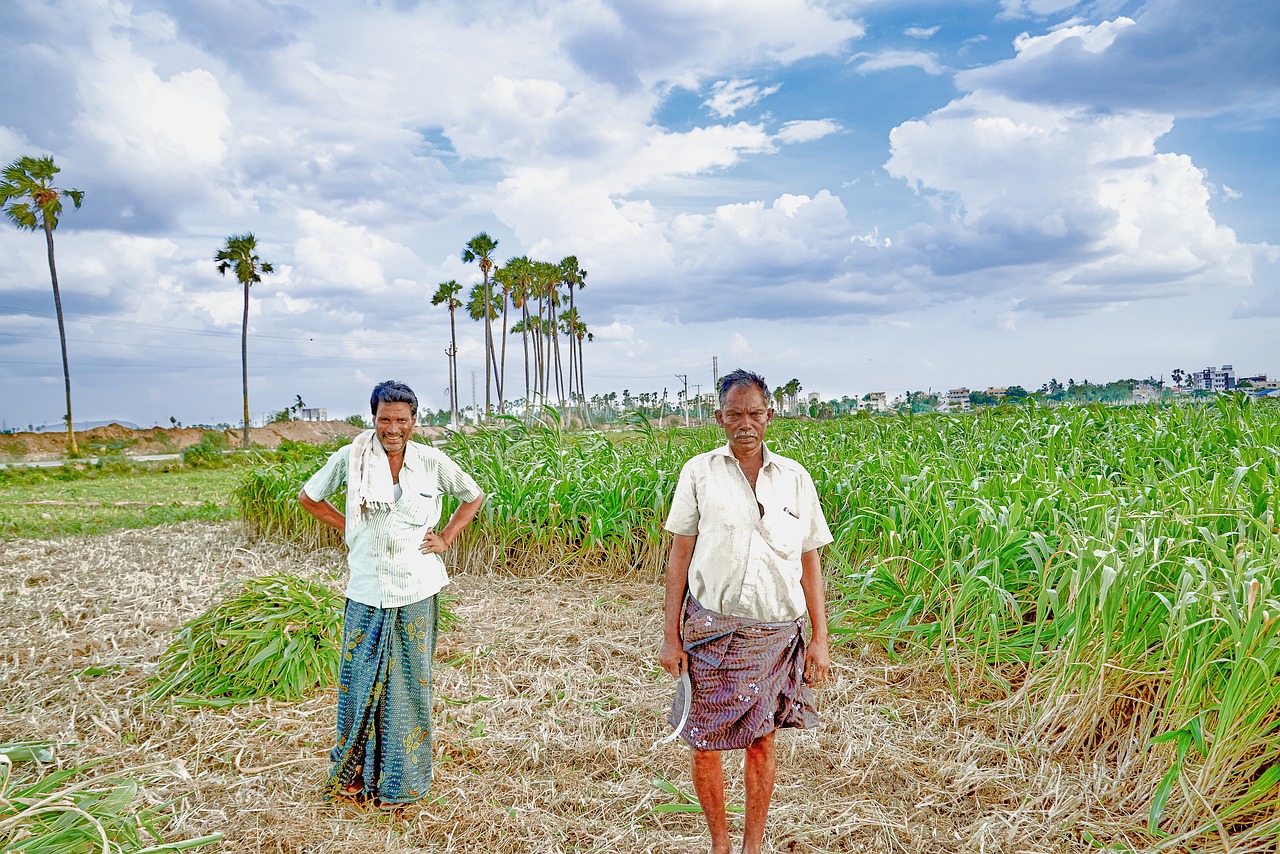 Farmer in Farm