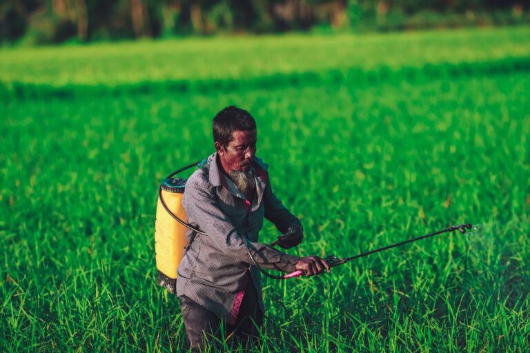 Peticides Spraying in Farm