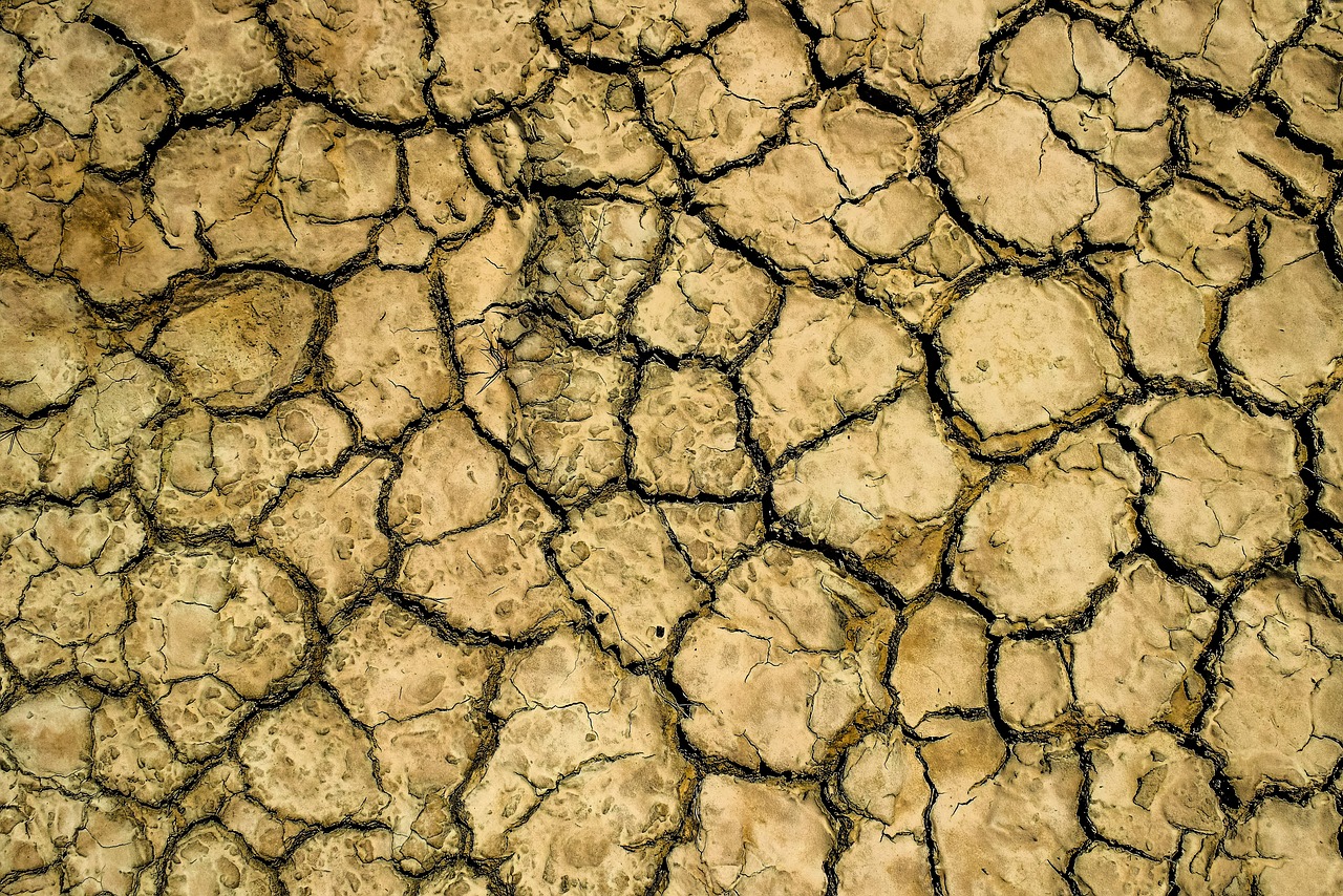 drought-3465359_1280