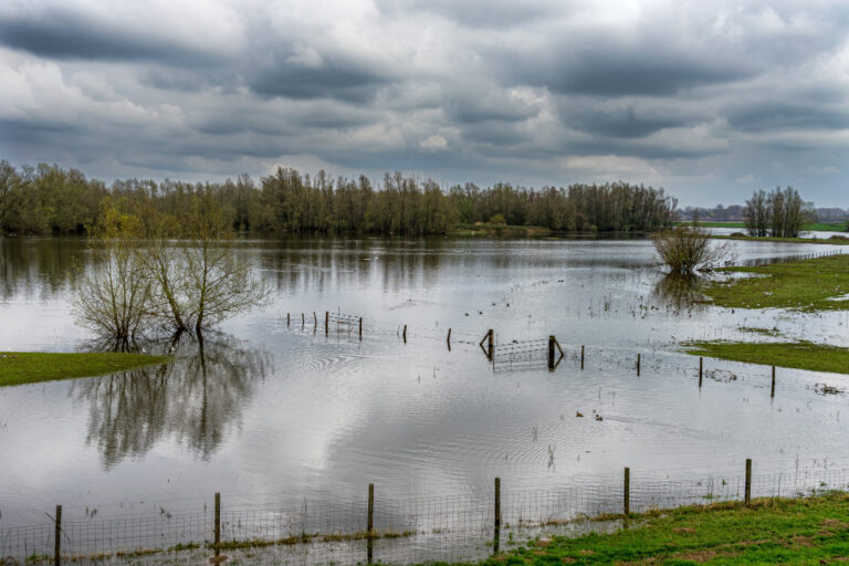 Flooded Farm