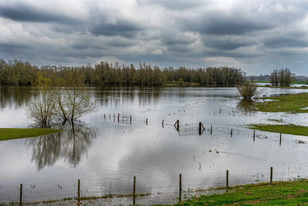 Flooded Farm