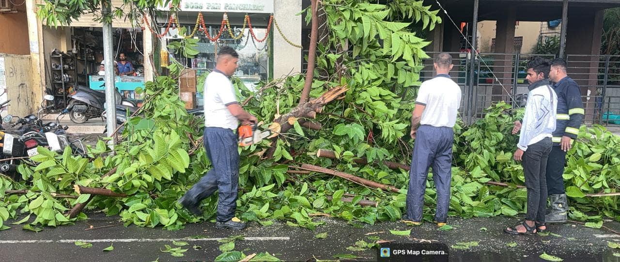 441176394_851264743709193_7076127589043845377_n