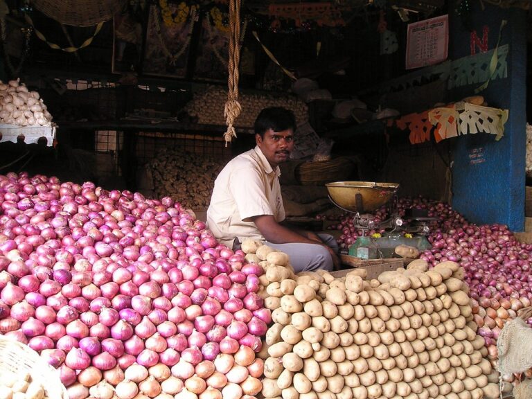 Onion Potato Seller