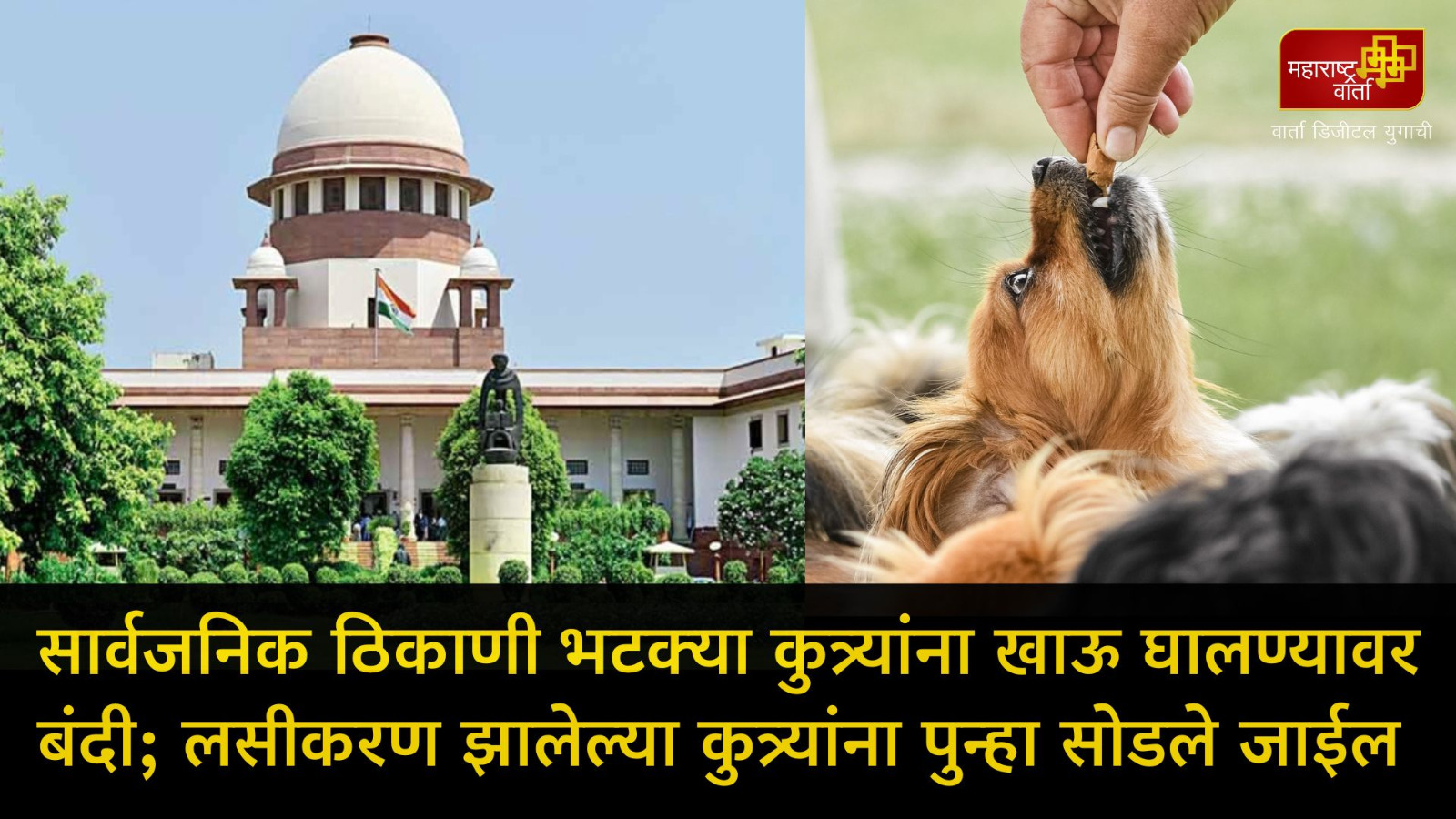 WhatsApp Image 2025-08-22 at 5.20.19 PM