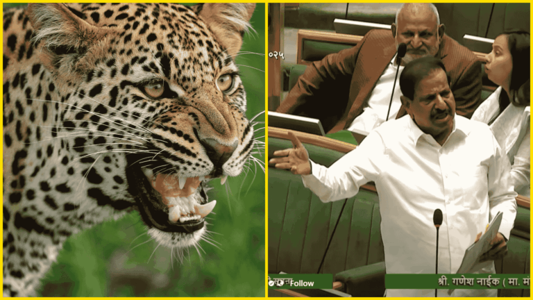 photo-collage.png - 2025-12-09T184744.704 (1)