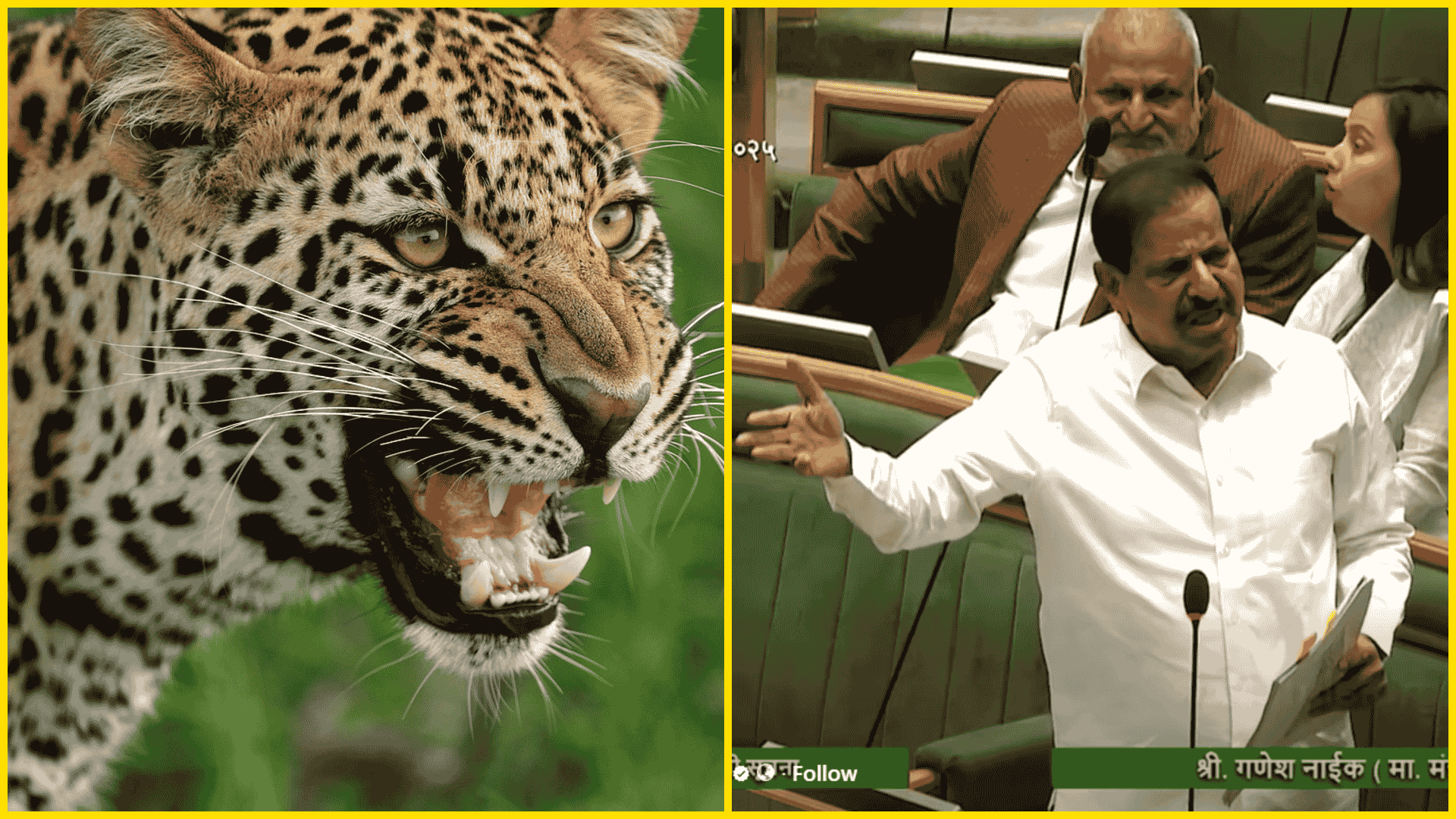 photo-collage.png - 2025-12-09T184744.704 (1)