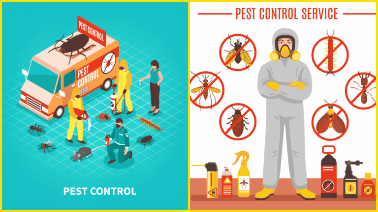 photo-collage.png - 2025-12-26T191758.521