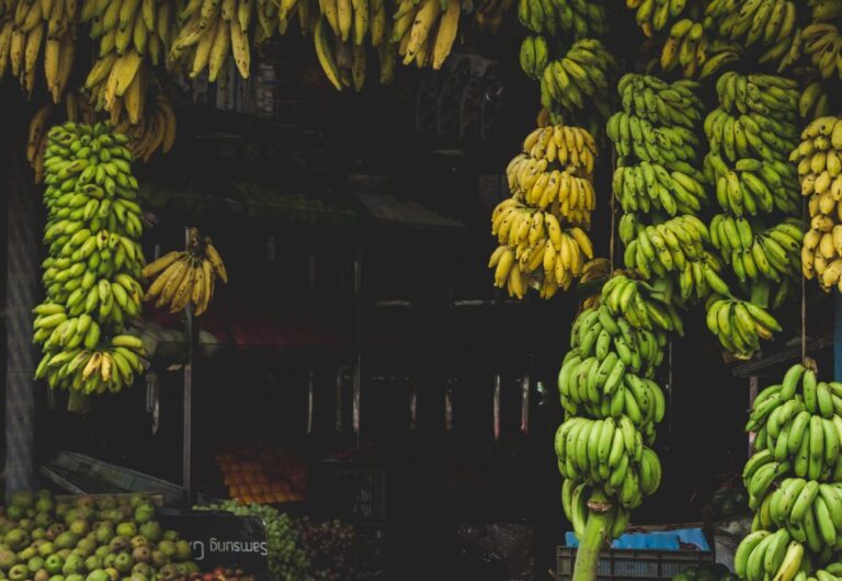 Banana Selling compressed