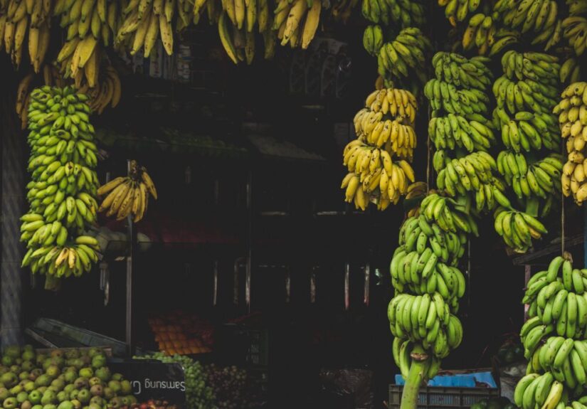 Banana Selling compressed