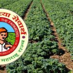 agriculture