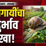 WhatsApp Image 2026-09-25 at 7.45.17 PM