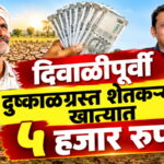 WhatsApp Image 2026-10-28 at 1.24.38 PM